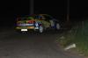 Exotic Green Rally 2010